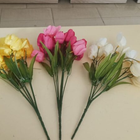 Garden Tulips flowers