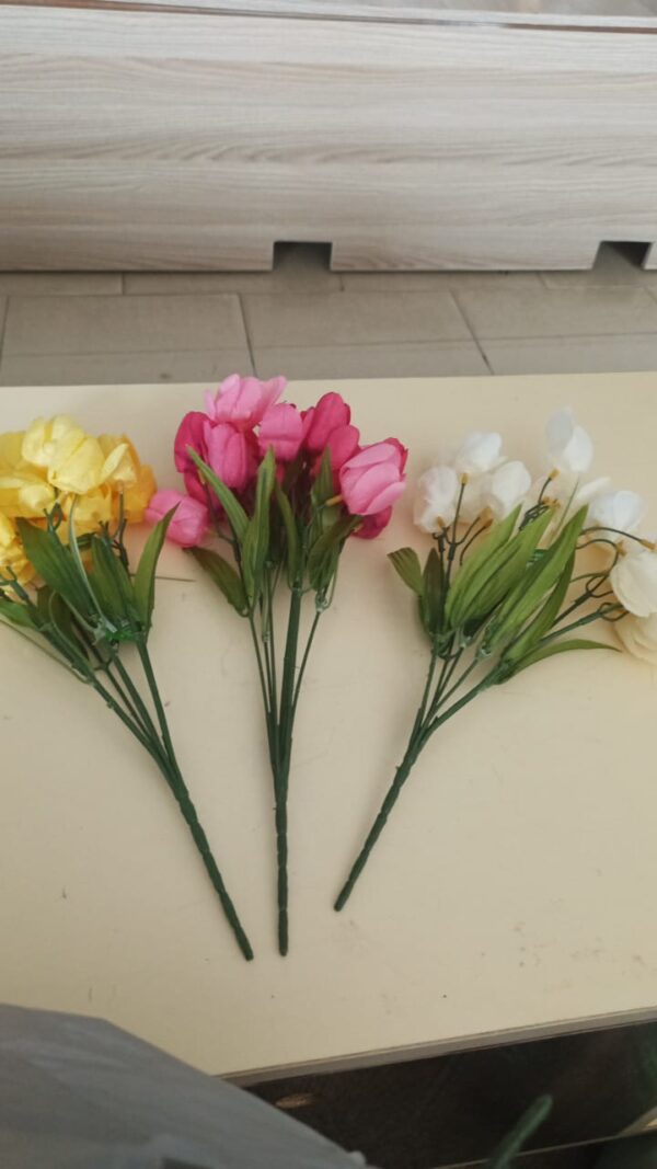 Garden Tulips flowers